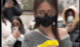 程女士吃瓜爆料视频,揭秘娱乐圈吃瓜大事件