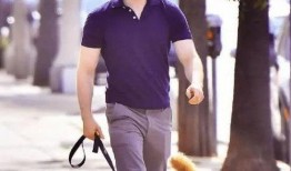 吃瓜看戏遛狗开播了吗视频