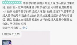 各种吃瓜完整事件视频,吃瓜群众视角下的热门事件深度解析