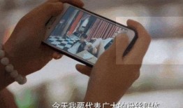 怎么显示吃瓜群众呢视频,网络视频中的围观文化解析