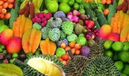 海南最新吃瓜事件视频,视频揭秘惊人真相