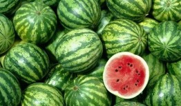 贵州人吃洋瓜视频大全集,洋瓜美食之旅视频大全集