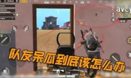 吃鸡呆瓜下场视频大全播放,笑料百出，欢乐无限